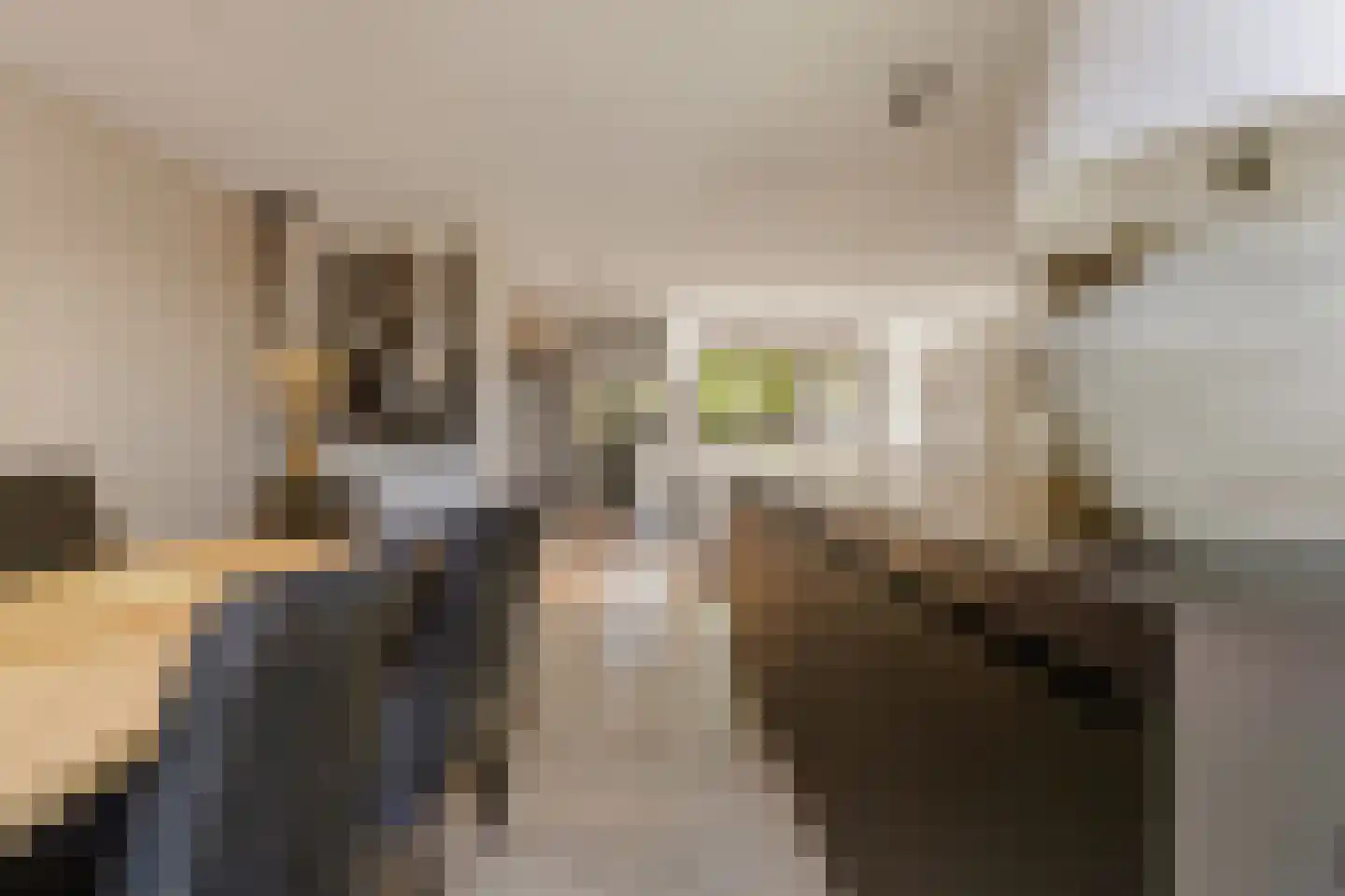 Rijnland 11 Huizen thumbnail 9