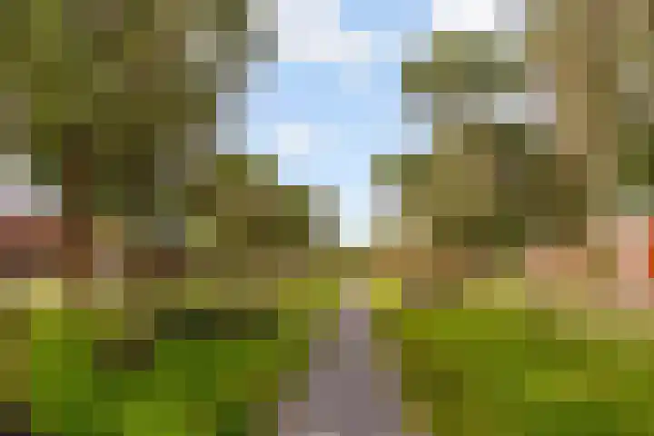 Rijnland 135 Lelystad thumbnail 30