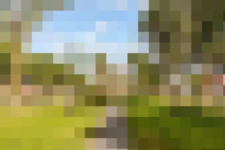 Rijnland 135 Lelystad thumbnail 31