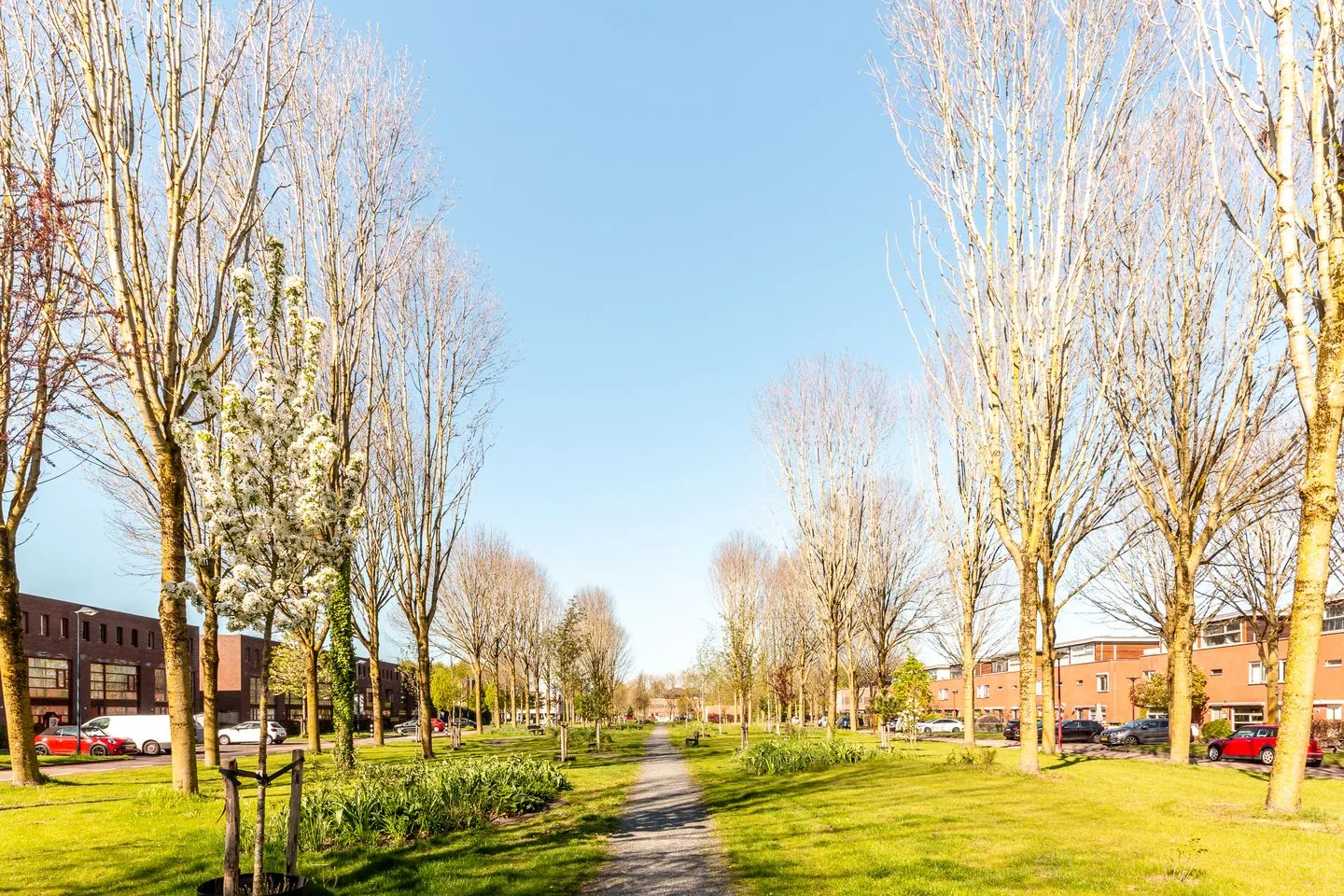 Rijnland 141 Lelystad thumbnail 32