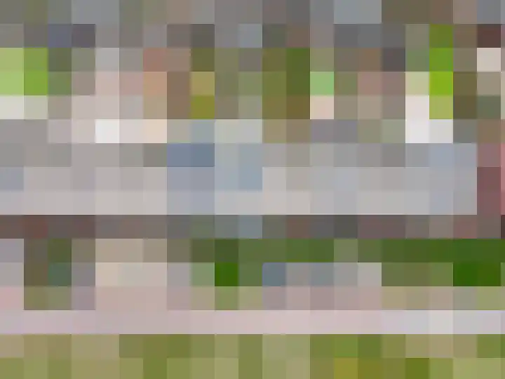 Rijnland 149 Lelystad thumbnail 9