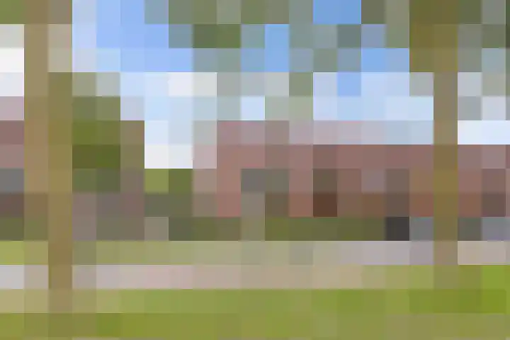 Rijnland 159 Lelystad thumbnail 5