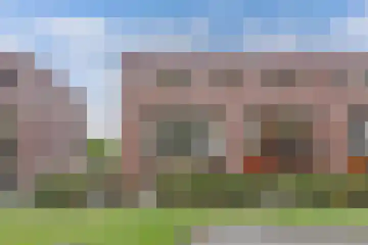 Rijnland 159 Lelystad thumbnail 6