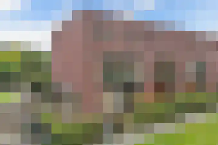 Rijnland 159 Lelystad thumbnail 7