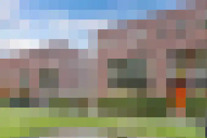 Rijnland 159 Lelystad thumbnail 9