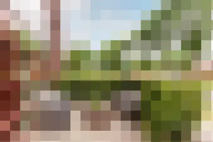 Rijnland 161 Lelystad thumbnail 36