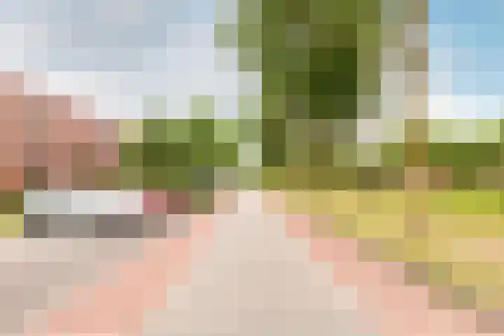 Rijnland 161 Lelystad thumbnail 37