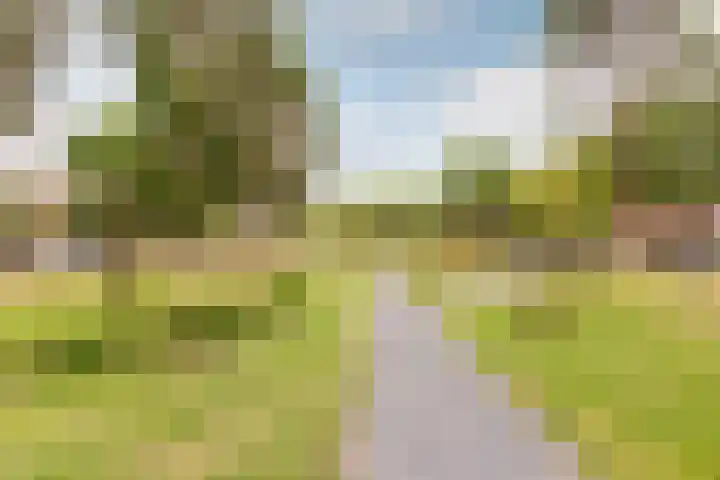 Rijnland 161 Lelystad thumbnail 39
