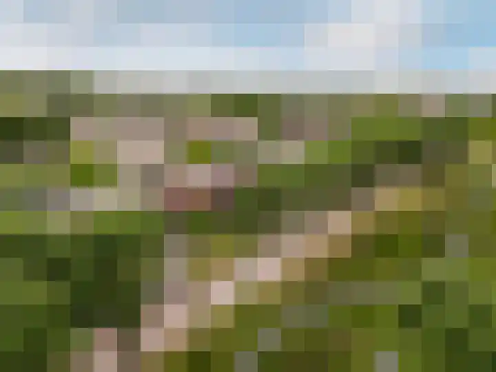 Rijnland 161 Lelystad thumbnail 42