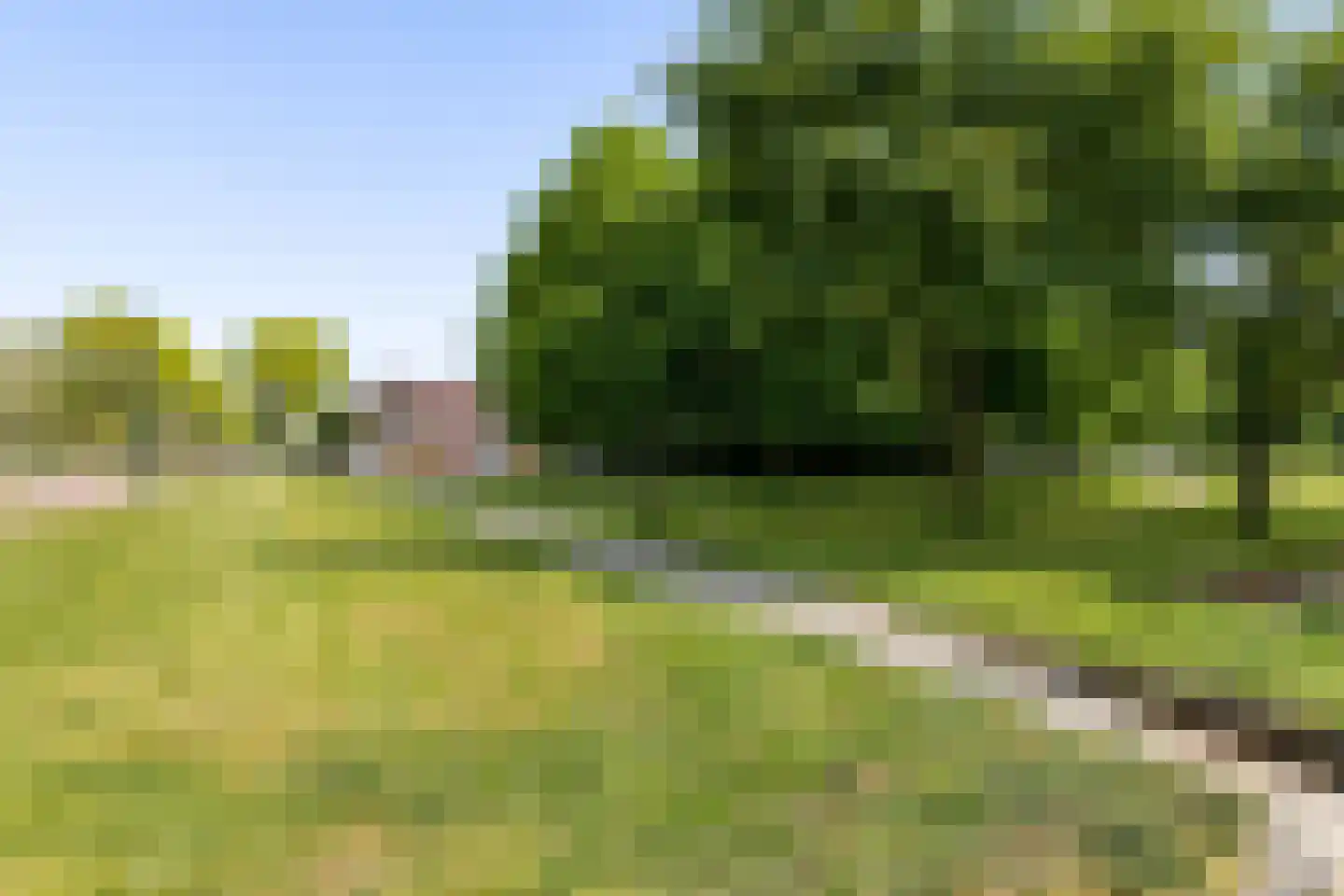 Rijnland 209 Lelystad thumbnail 40