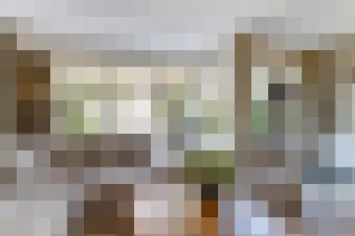 Rijnland 21 Huizen thumbnail 11