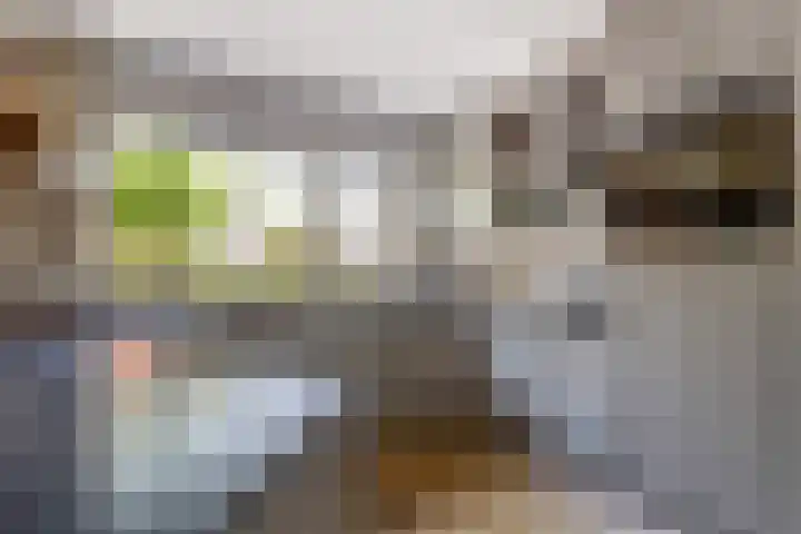 Rijnland 21 Huizen thumbnail 16