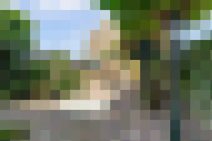 Rijnland 21 Huizen thumbnail 38