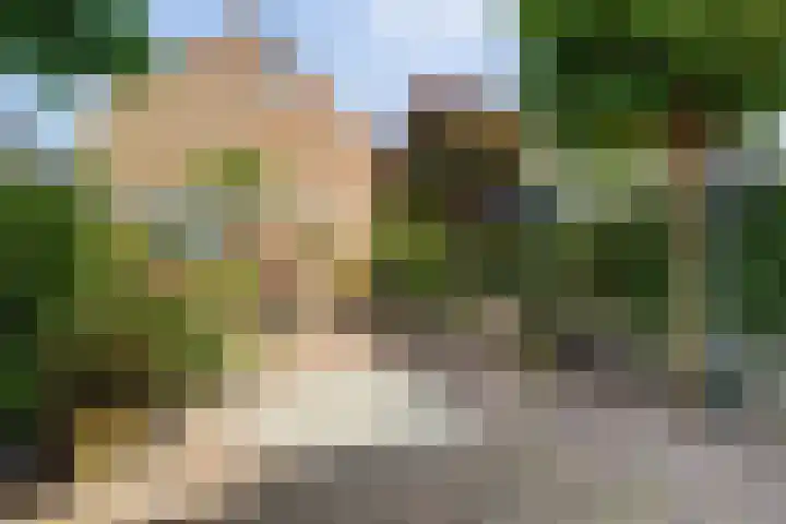 Rijnland 21 Huizen thumbnail 39