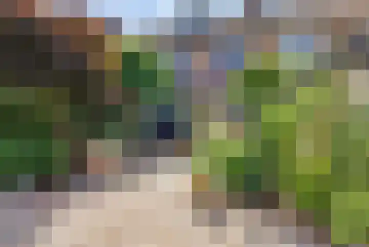 Rijnland 21 Huizen thumbnail 41