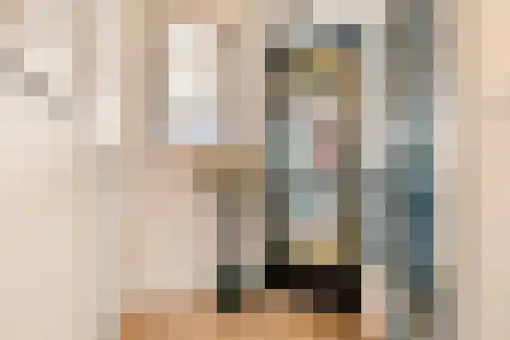 Rijnland 21 Spaarndam thumbnail 17