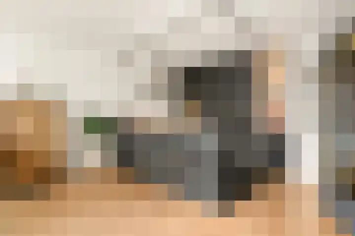 Rijnland 21 Spaarndam thumbnail 20