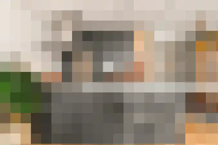 Rijnland 21 Spaarndam thumbnail 21