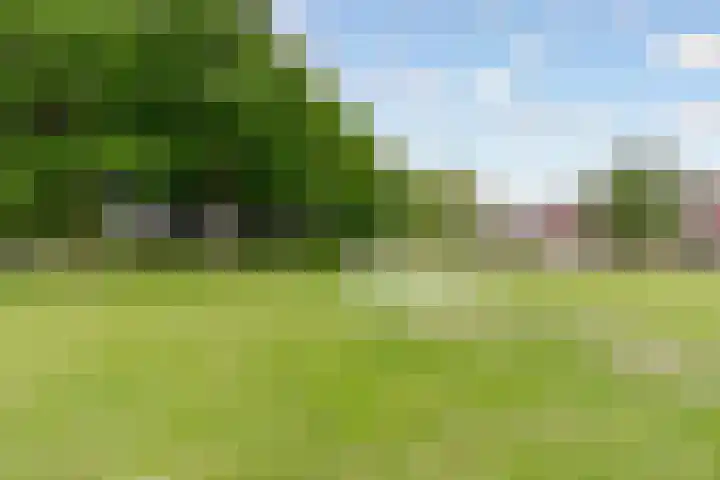 Rijnland 245 Lelystad thumbnail 48