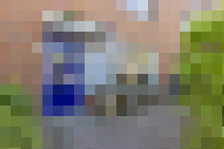 Rijnland 329 Lelystad thumbnail 11