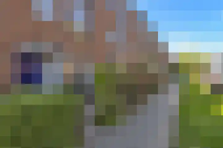 Rijnland 329 Lelystad thumbnail 9