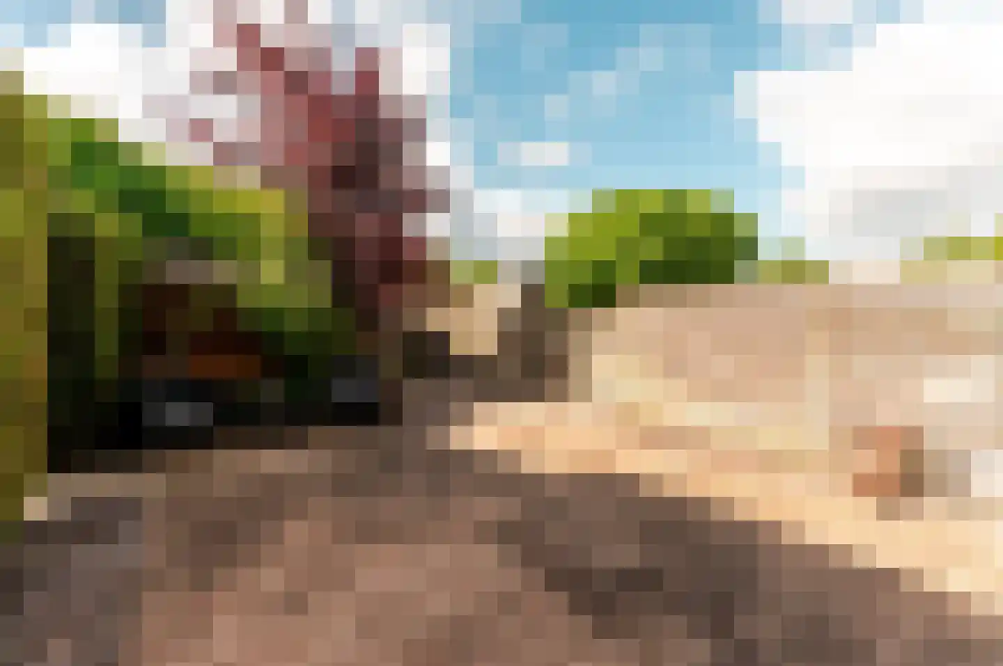 Rijnland 369 Lelystad thumbnail 39