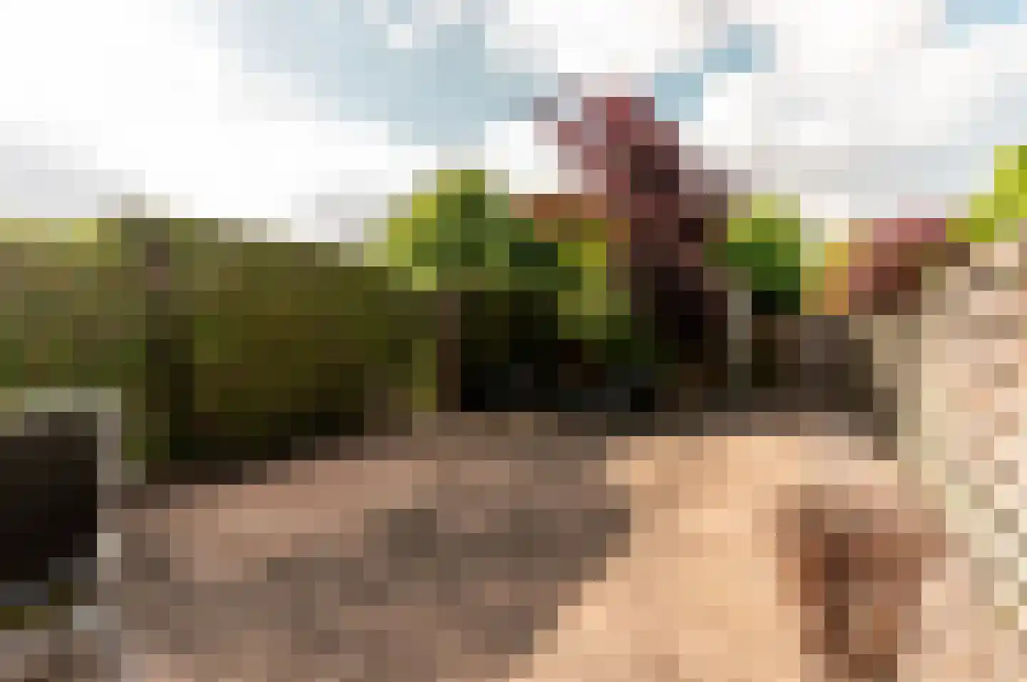 Rijnland 369 Lelystad thumbnail 40