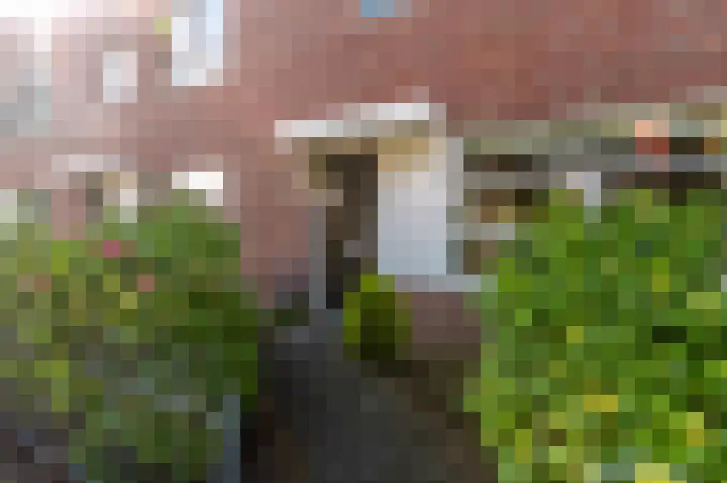 Rijnland 369 Lelystad thumbnail 49