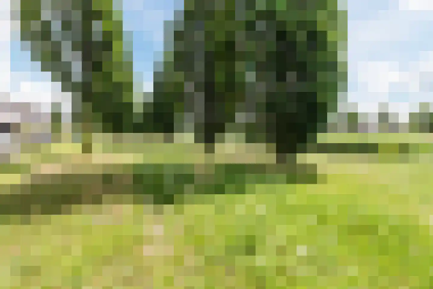 Rijnland 412 Lelystad thumbnail 43