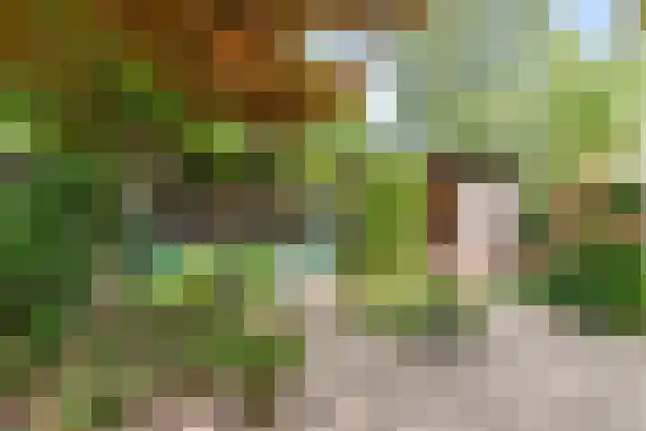 Rijnland 42 Lelystad thumbnail 37