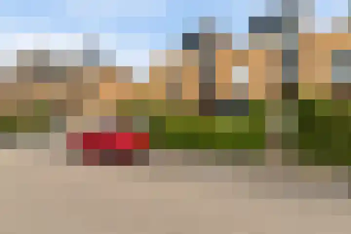 Rijnland 42 Lelystad thumbnail 4
