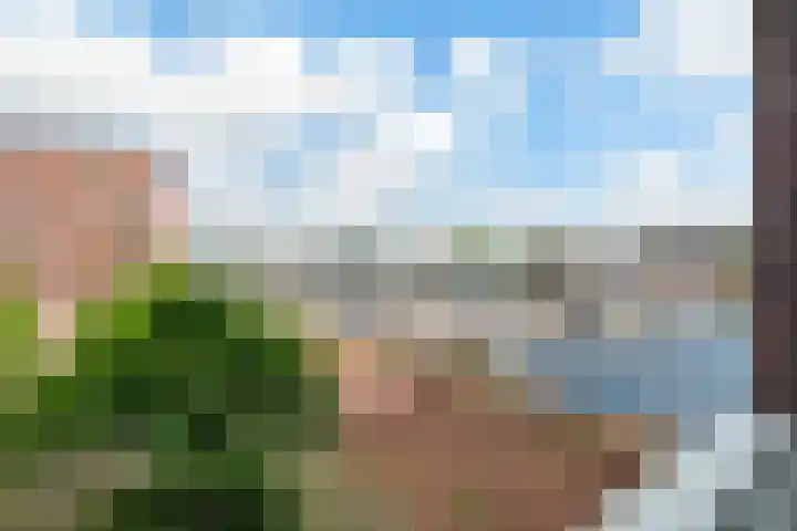 Rijnland 49 Spaarndam thumbnail 21