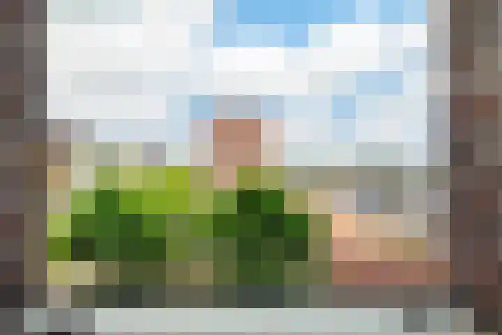 Rijnland 49 Spaarndam thumbnail 22