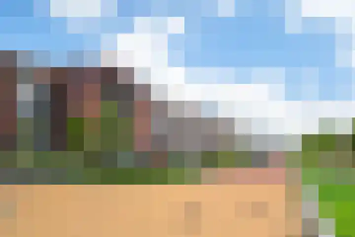 Rijnland 49 Spaarndam thumbnail 30