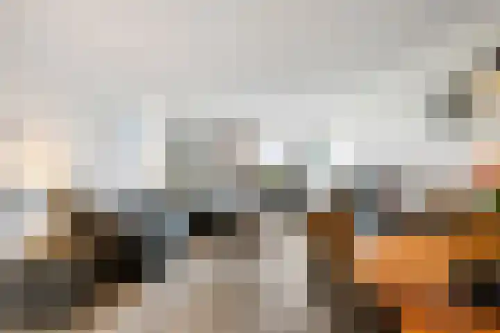 Rijnland 49 Spaarndam thumbnail 4