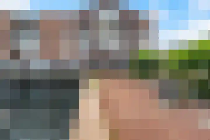 Rijnland 49 Spaarndam thumbnail 5