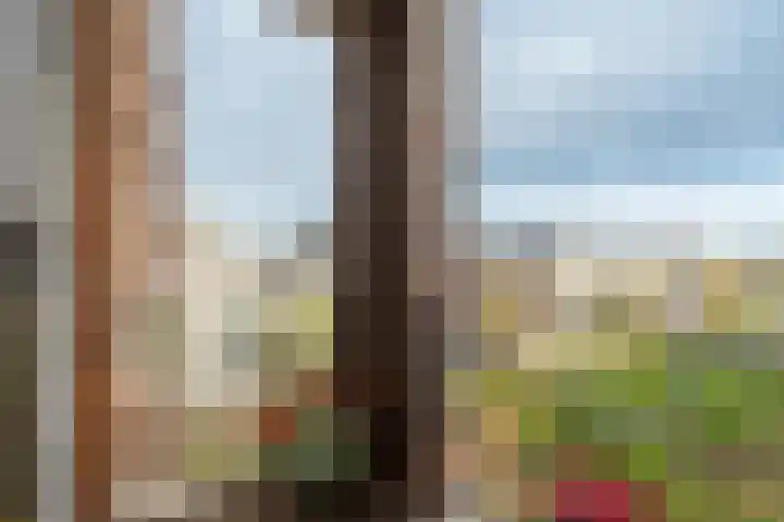 Rijnland 71 Spaarndam thumbnail 20