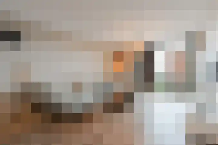 Rijnland 71 Spaarndam thumbnail 5