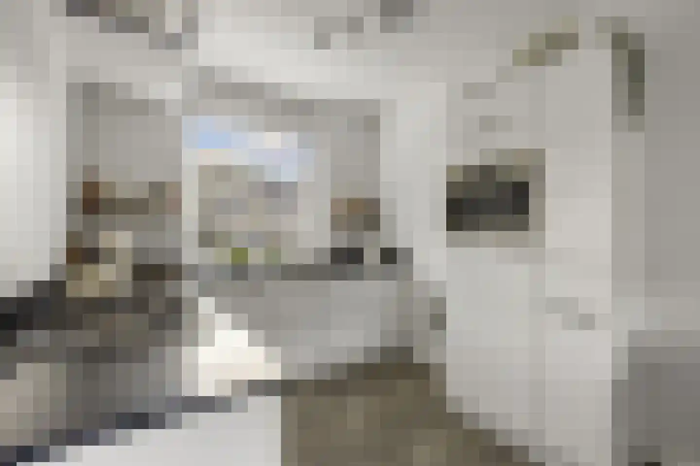 Rijnlanderlaan 22 Barneveld thumbnail 13