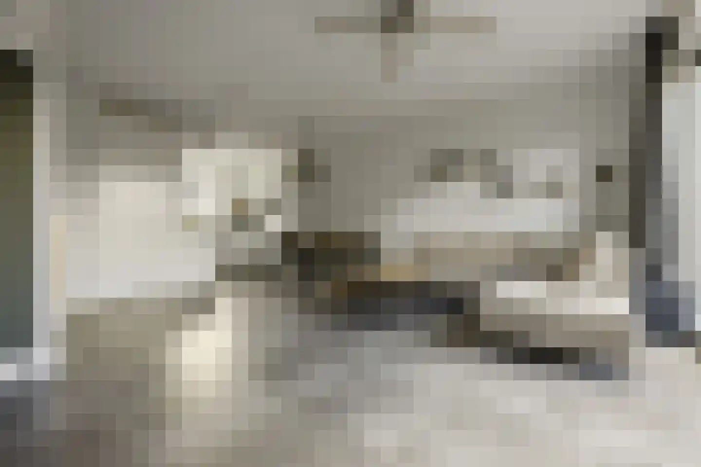 Rijnlanderlaan 22 Barneveld thumbnail 9