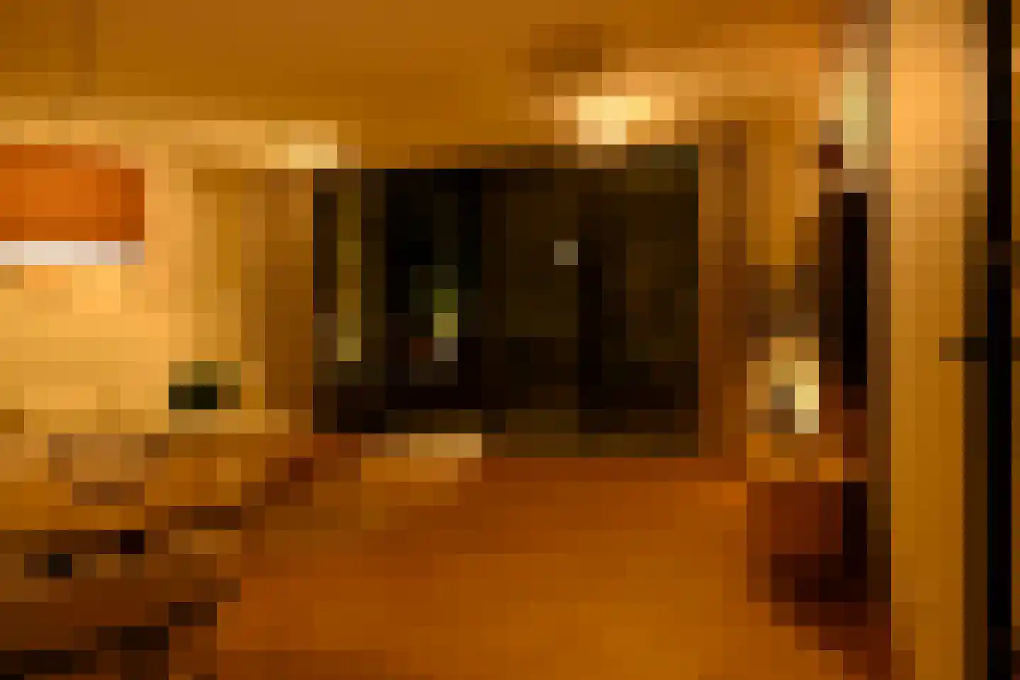 Rijnlandlaan 245 Amsterdam thumbnail 38