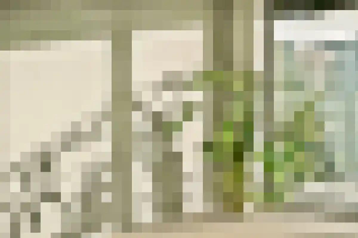 Rijnlandlaan 271 Amsterdam thumbnail 5