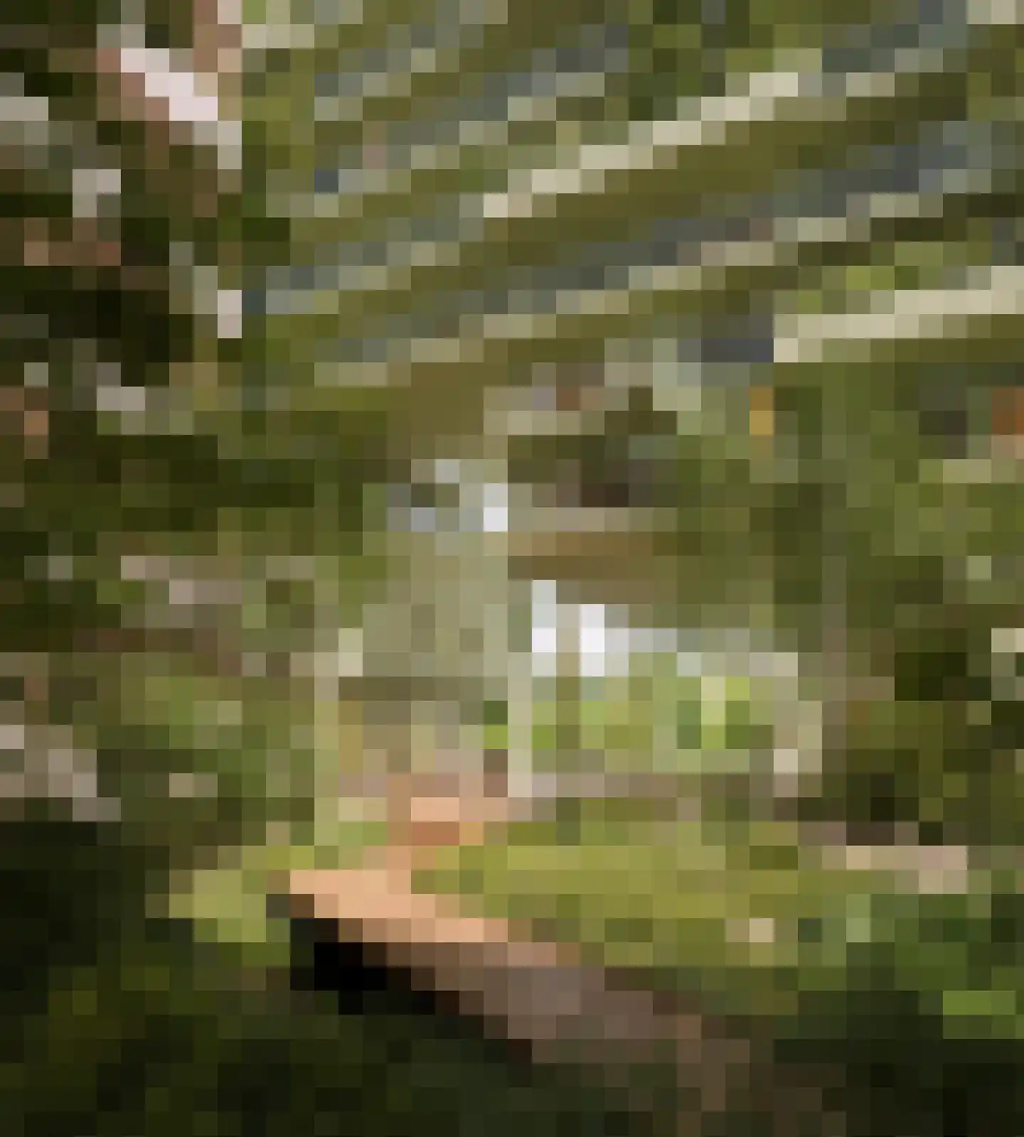 Rijnlandlaan 597 Amsterdam thumbnail 7
