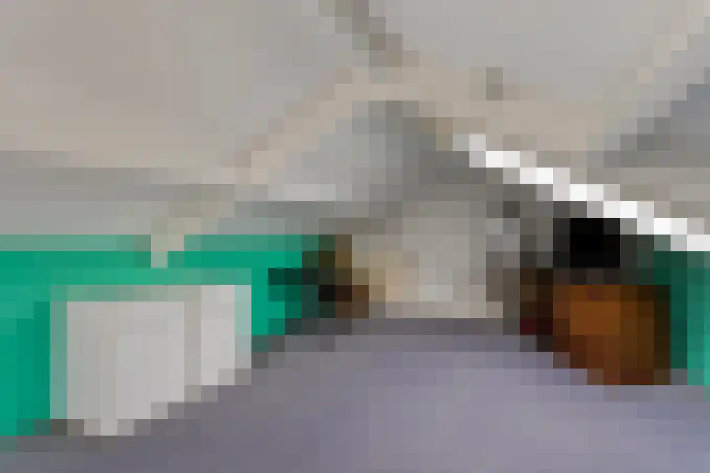 Rijnlandstraat 2 Stokkum thumbnail 25
