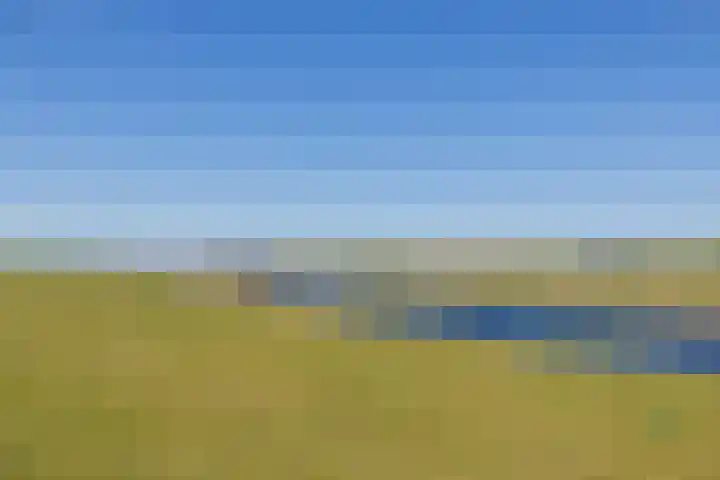 Rijnmond 136 Katwijk thumbnail 33