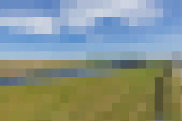 Rijnmond 136 Katwijk thumbnail 35