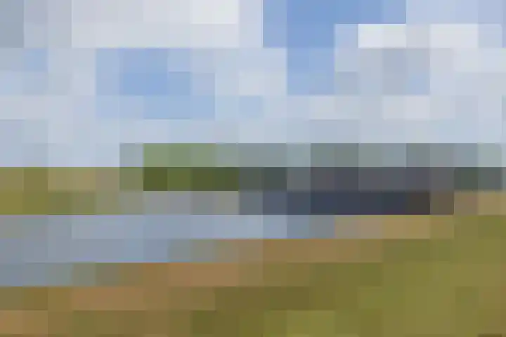 Rijnmond 166 Katwijk thumbnail 29