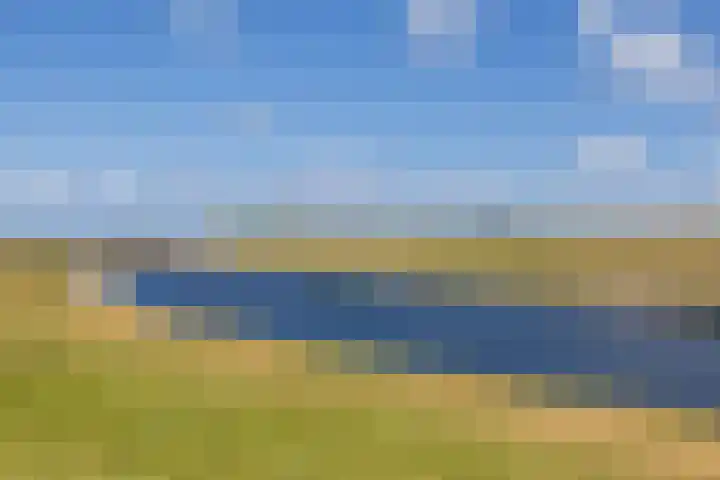 Rijnmond 166 Katwijk thumbnail 30