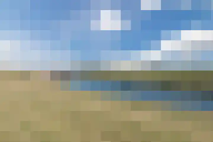 Rijnmond 174 Katwijk thumbnail 42