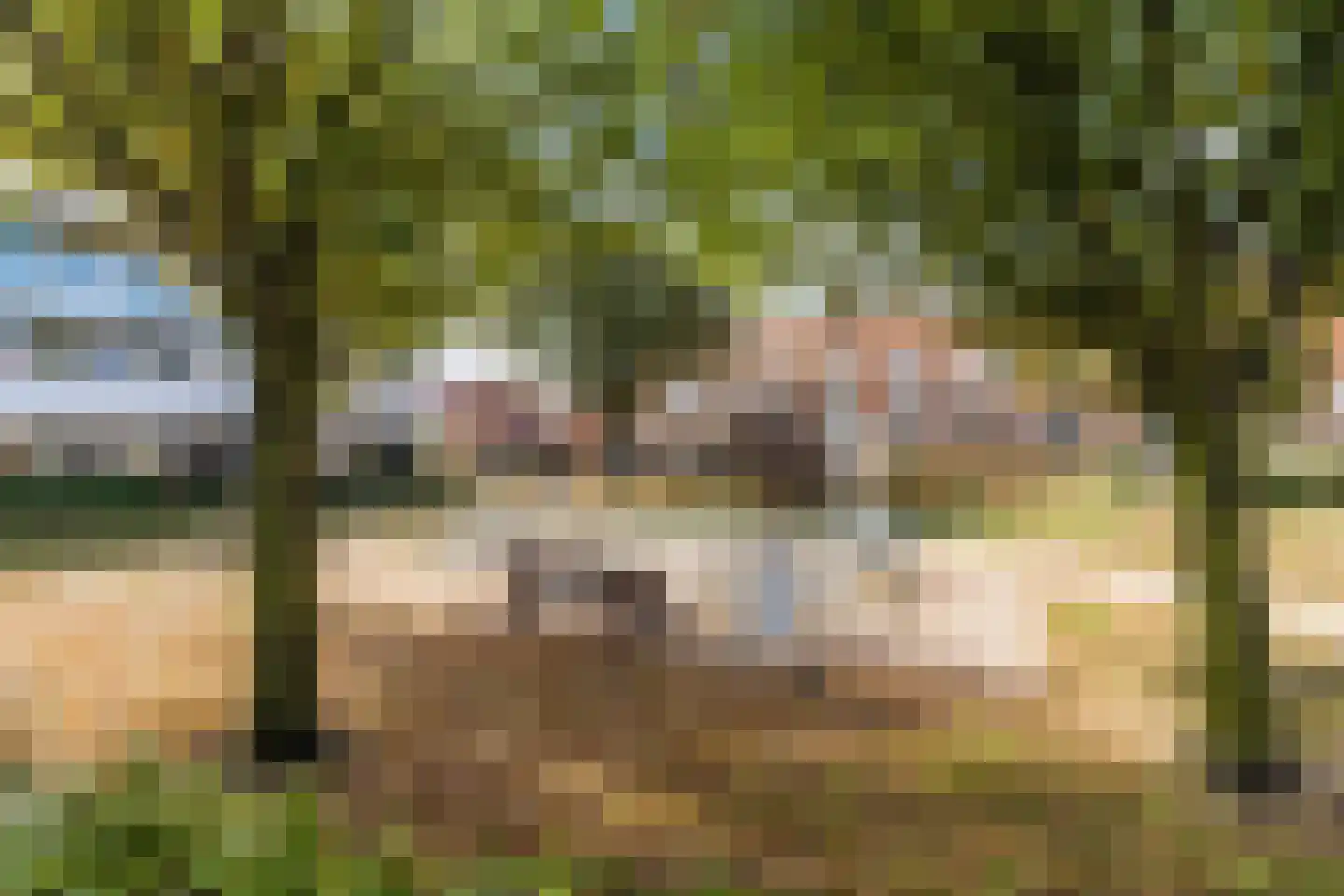 Rijnmond 186 Katwijk thumbnail 49